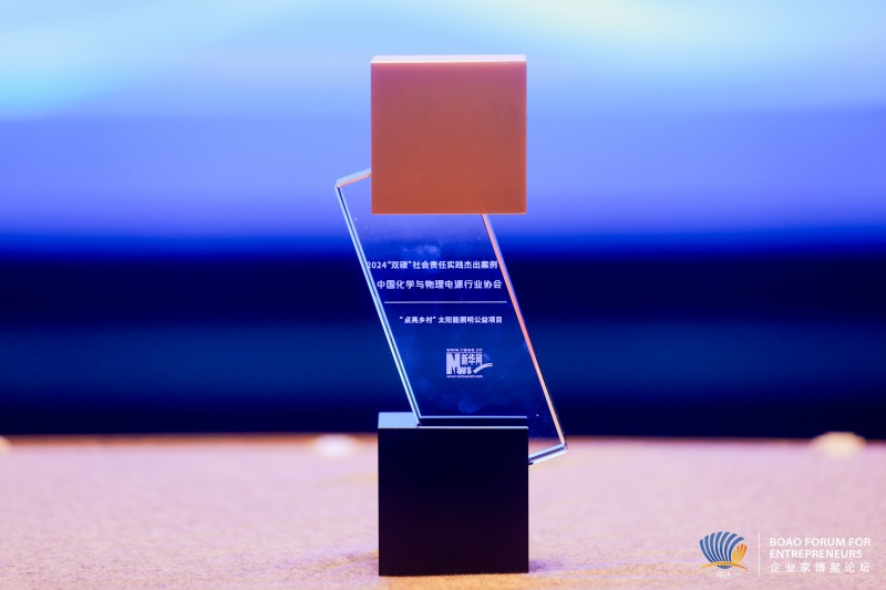 新華網(wǎng)&ldquo;2024雙碳社會責(zé)任實(shí)踐杰出案例&rdquo;